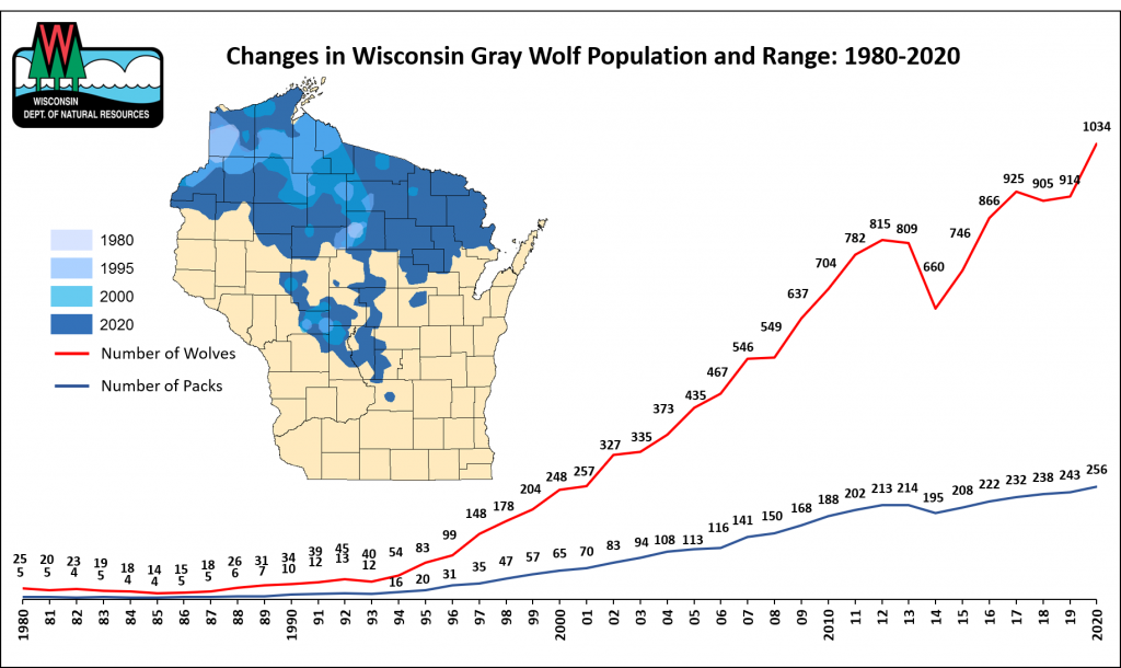 Wisconsin Grey Wolf Population